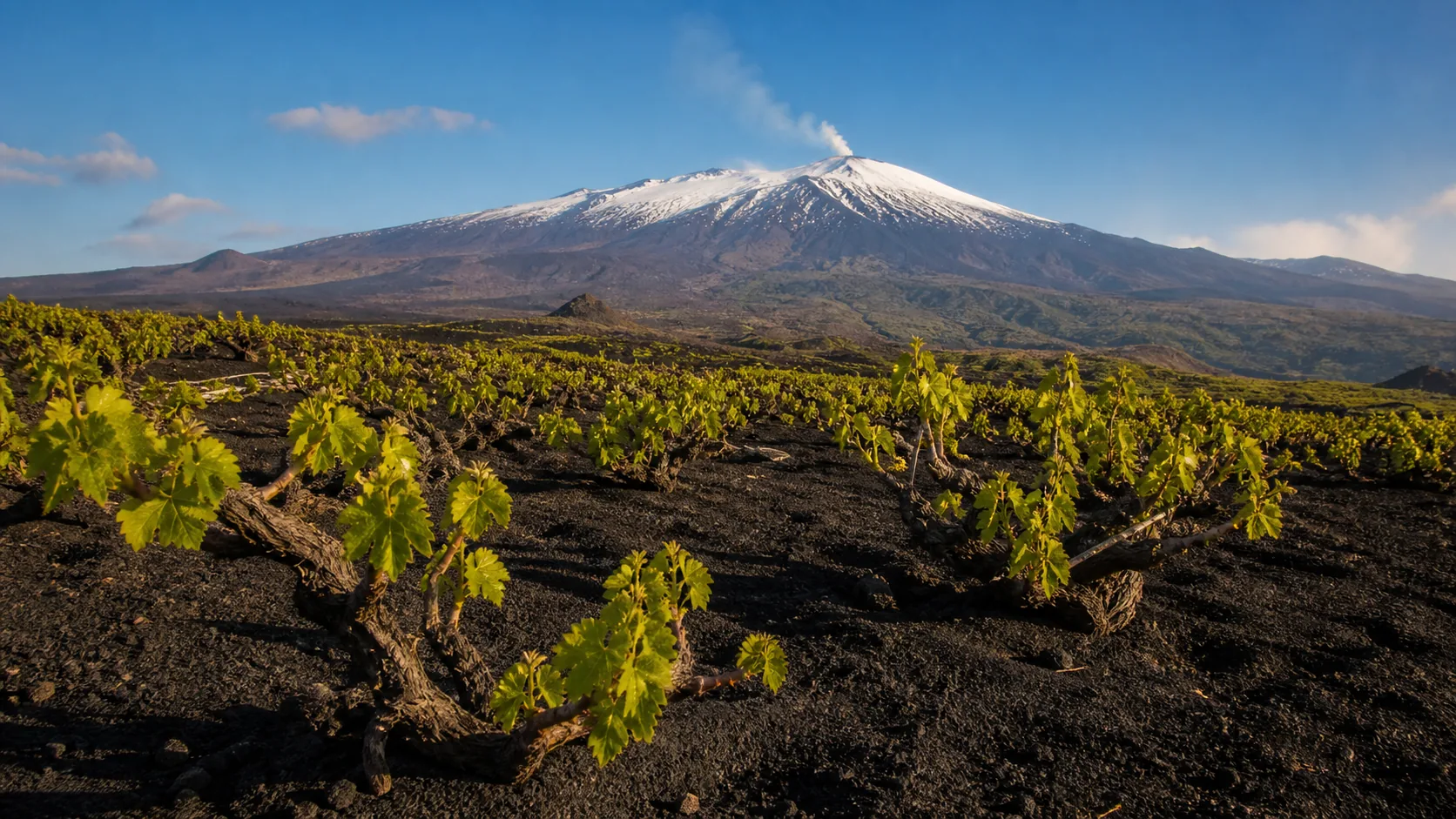 Etna-Wein