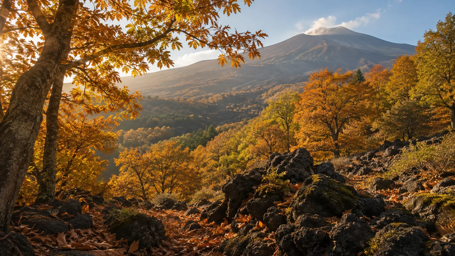 Herbstwald mit Lavagestein an den Hängen des Aetna